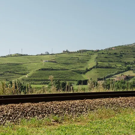 Tatil Evi Casa Do Carril - Private Pool - Douro Valley
